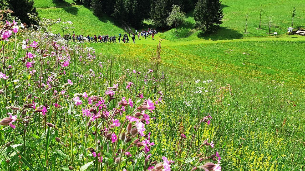Hotel Da Barba B&B Asiago Eksteriør bilde